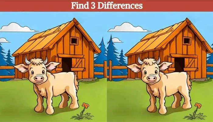 Tes IQ: Coba Temukan 3 Perbedaan pada Gambar Sapi di Kandang Peternakan Ini