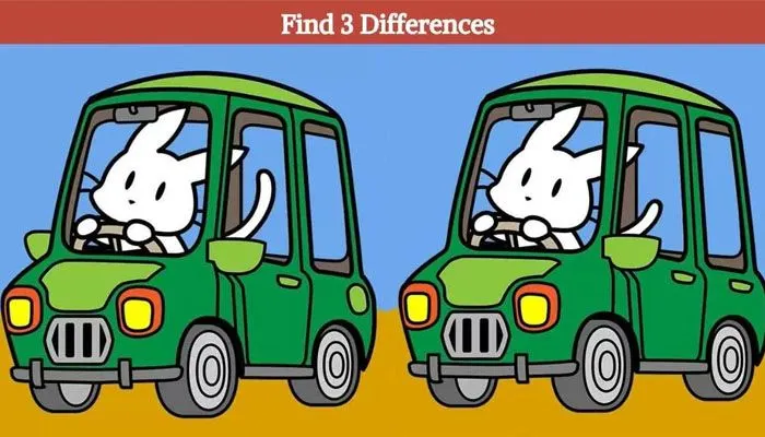 Tes IQ: Cari 3 Perbedaan pada Gambar Kelinci sedang Berkendara Ini