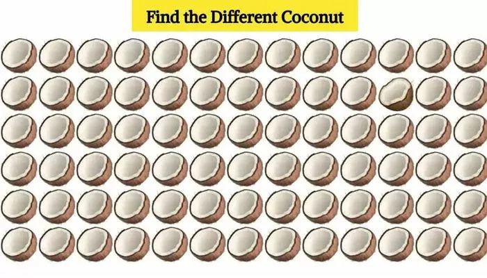 Tes Penglihatan: Ada Satu Gambar Kelapa yang Paling Berbeda, Bisa Temukan?