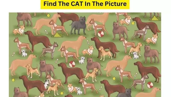 Tes Penglihatan: Coba Temukan Seekor Kucing di Antara Anjing Ini