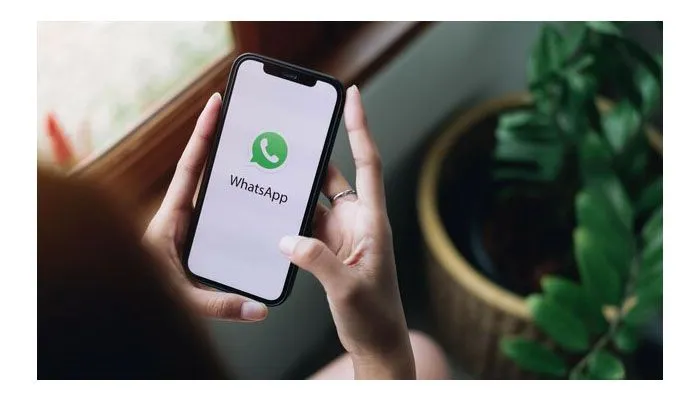 Sudah Menggunakan Fitur HD tapi Status WhatsApp Kamu Masih Pecah? Jangan Khawatir Ini Ada Tipsnya!