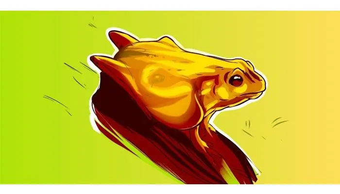 Tes Kepribadian: Katak atau Kuda Gambar yang Pertama Kamu LIhat?