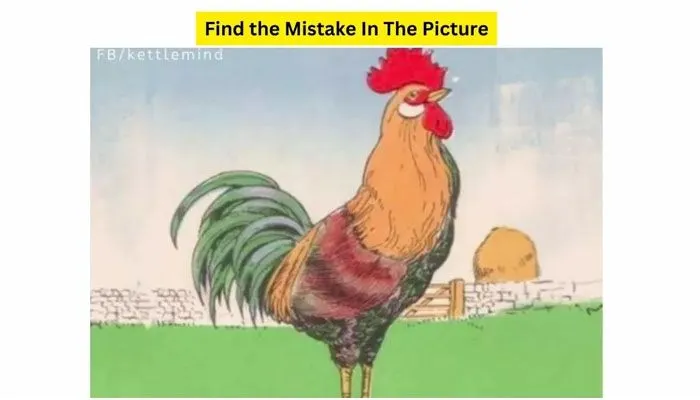 Tes IQ: Coba Cari Kesalahan Pada Gambar Ayam Jago Ini dalam Waktu 3 Detik!