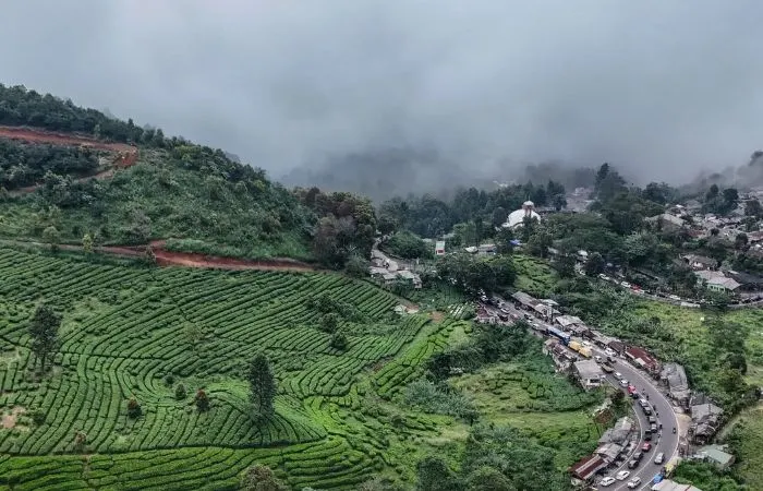 Potret kawasan puncak Bogor.