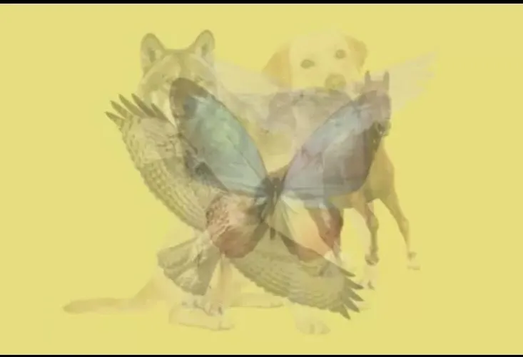 Ilustrasi tes ilusi optik