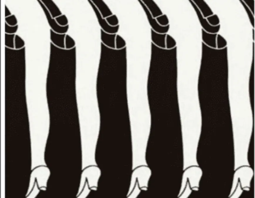 Tes Kepribadian: Lihat Kaki Pria atau Wanita?