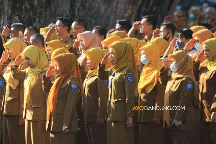 Pendaftaran Calon Pegawai Negeri Sipil (CPNS) 2024 terus menjadi perhatian publik, terutama terkait dengan tingkat persaingan.