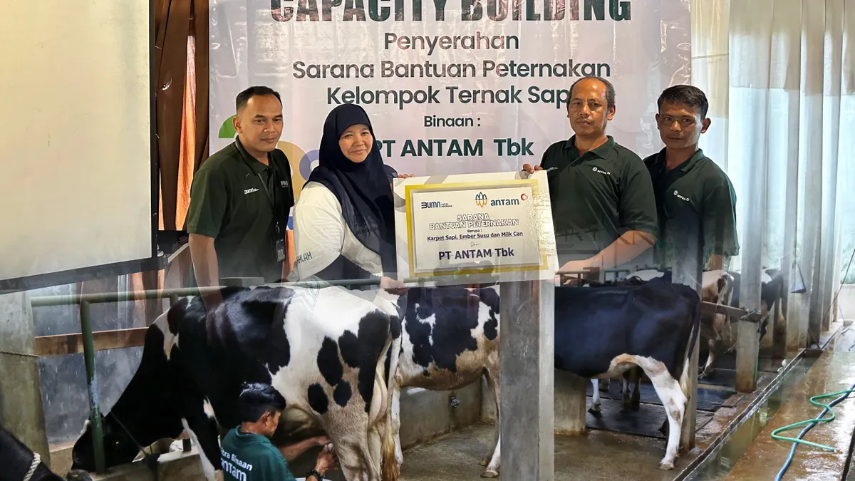Melalui cabang Cimahi, PNM menjadi pihak yang memberikan pelatihan Capacity Building kepada Klaster Usaha Ternak sapi perah Cipeusing Mandiri dan Sugih Mukti yang merupakan mitra binaan PT ANTAM di Cimahi Utara.