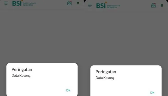 BSI Mobile Eror