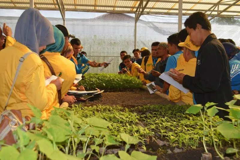 Cara cepat kaya dari berfani