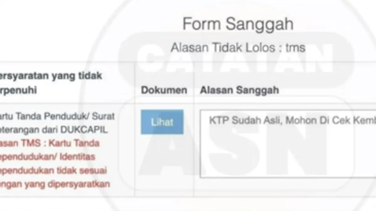 Masa sanggah status TMS untuk PPPK 2024