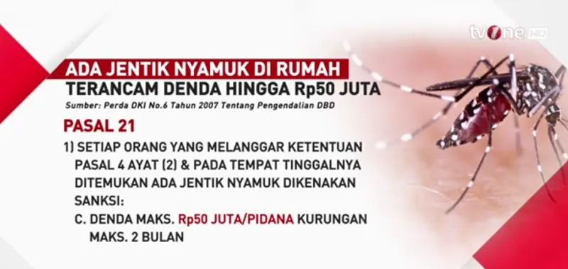 Denda hingga 50 Juta Rupiah Jika&nbsp;Ada Jentik Nyamuk di Rumah&nbsp;Warga Jakarta