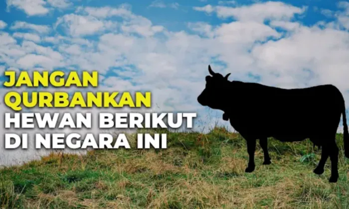Kebiasaan Unik Menyambut Perayaan Idul Adha di Beberapa Negara, Ada yang Sama Persis dengan Tradisi di Indonesia