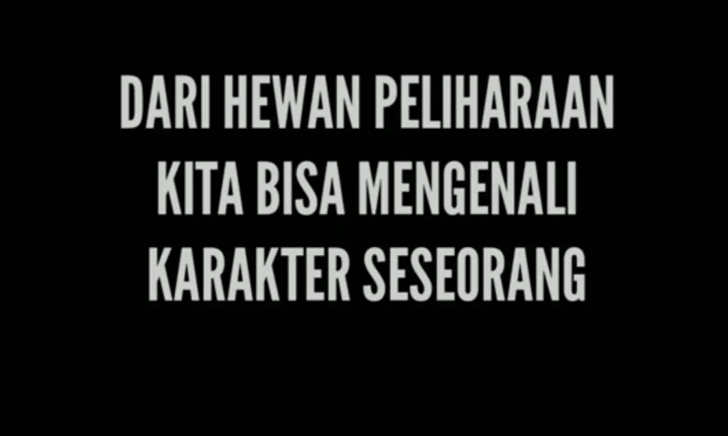 Cara Mengenali Kepribadian Seseorang Berdasarkan Hewan Peliharaan