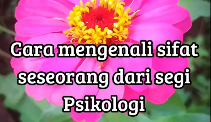 Cara Mengenali Kepribadian Orang Lain Menurut Tinjauan Psikologi, karena Perbuatan Lebih Bisa Dipercaya dari Pernyataan