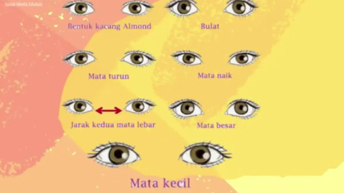 Cara Mengenali Kepribadian Seseorang Berdasarkan Bentuk Mata
