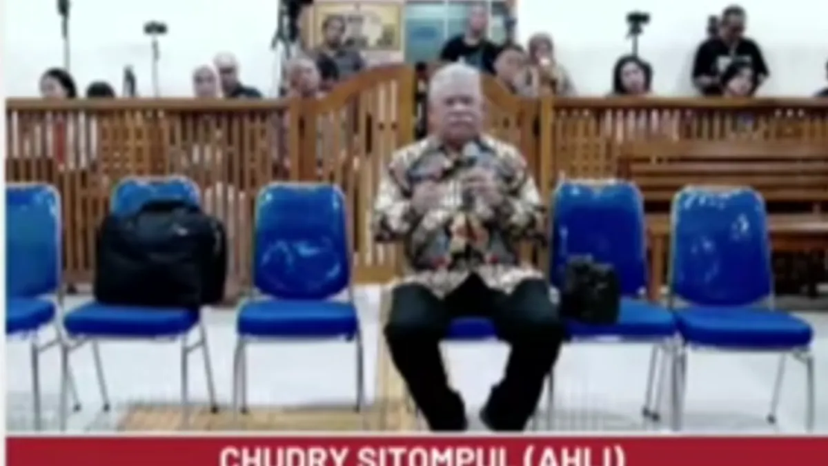 Dalam sidang PK enam terpidana kasus Vina-Eky, PN Cirebon menghadirkan Chudry Sitompul selaku ahli hukum pidana.