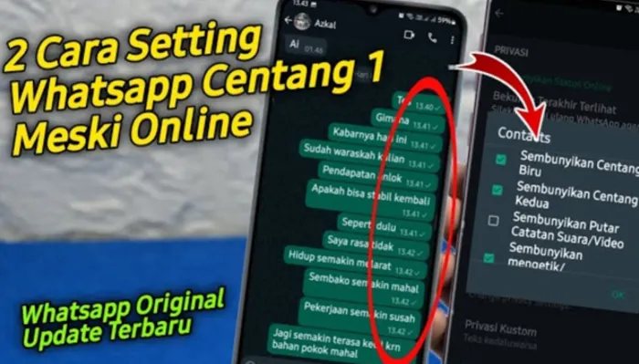 Laporan Pesan Centang Satu tapi Online? Inilah Dua Langkah Mudah Menyamarkan Status Online dari Pengguna WhatsApp Lain