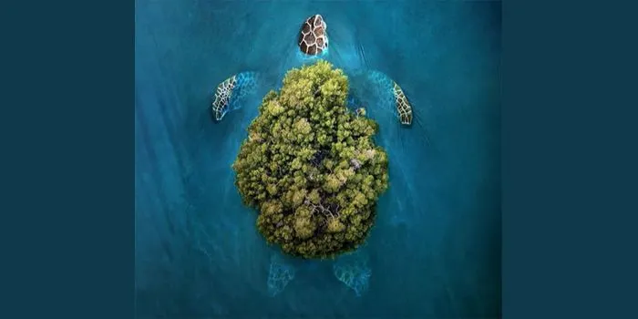 Ilustrasi Tes Kepribadian