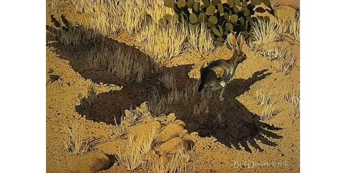 Kelinci atau elang, ayo menemukan jalan menuju sukses