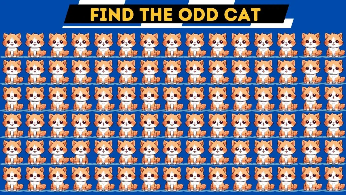 Silakan temukan kucing yang berbeda dalam waktu 10 detik dalam gambar ini