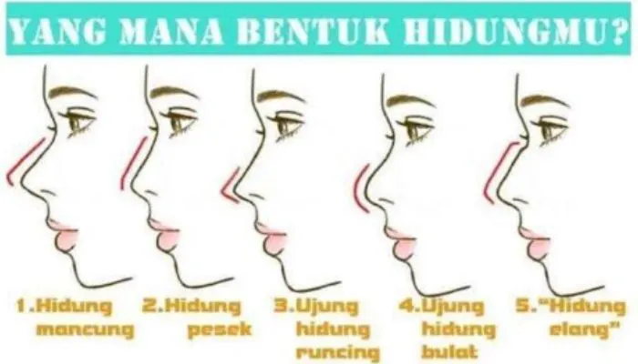 Kepribadian berdasarkan bentuk hidung
