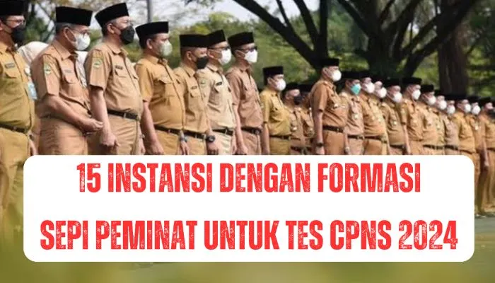 Ilustrasi CPNS 2024