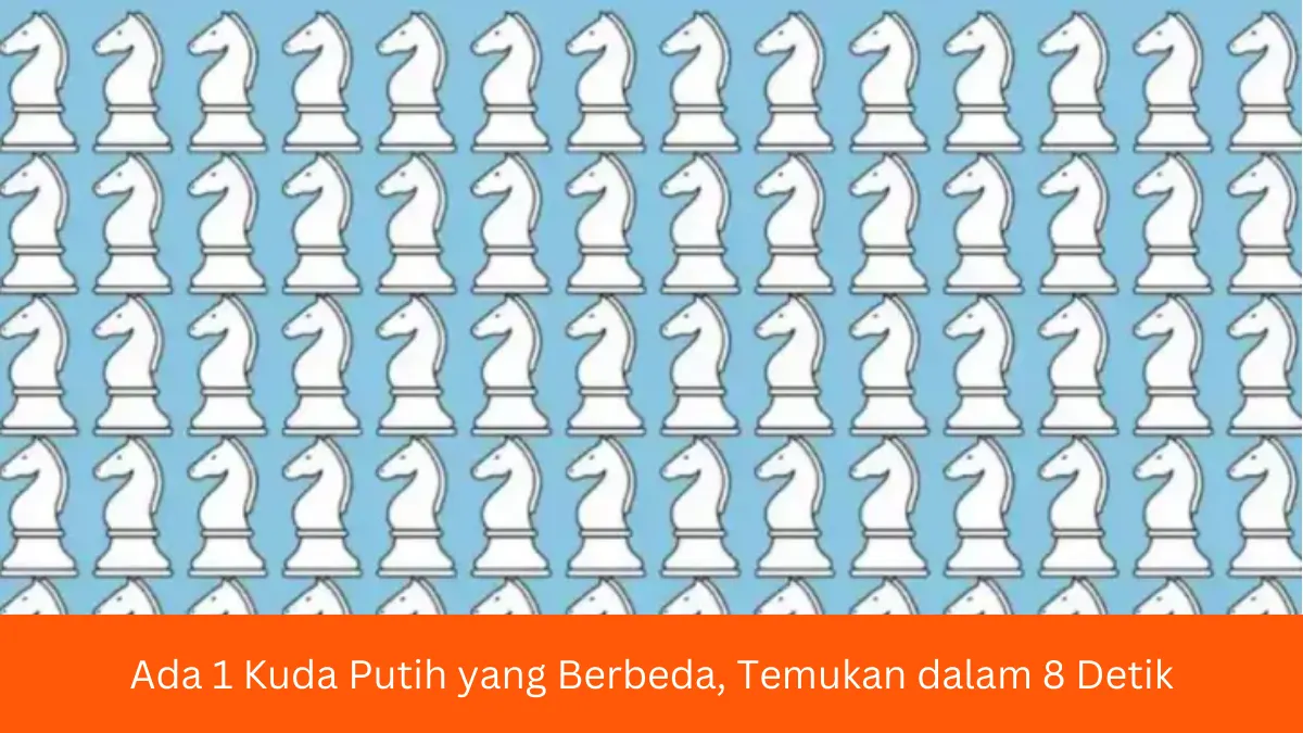 Tes Penglihatan: Ada 1 Kuda Putih yang Berbeda di Antara 70 yang Sekilas Sama, Temukan dalam Waktu 8 Detik!