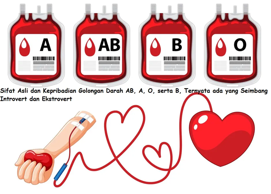 Sifat asli dan kepribadian golongan darah AB, A, O, serta B.