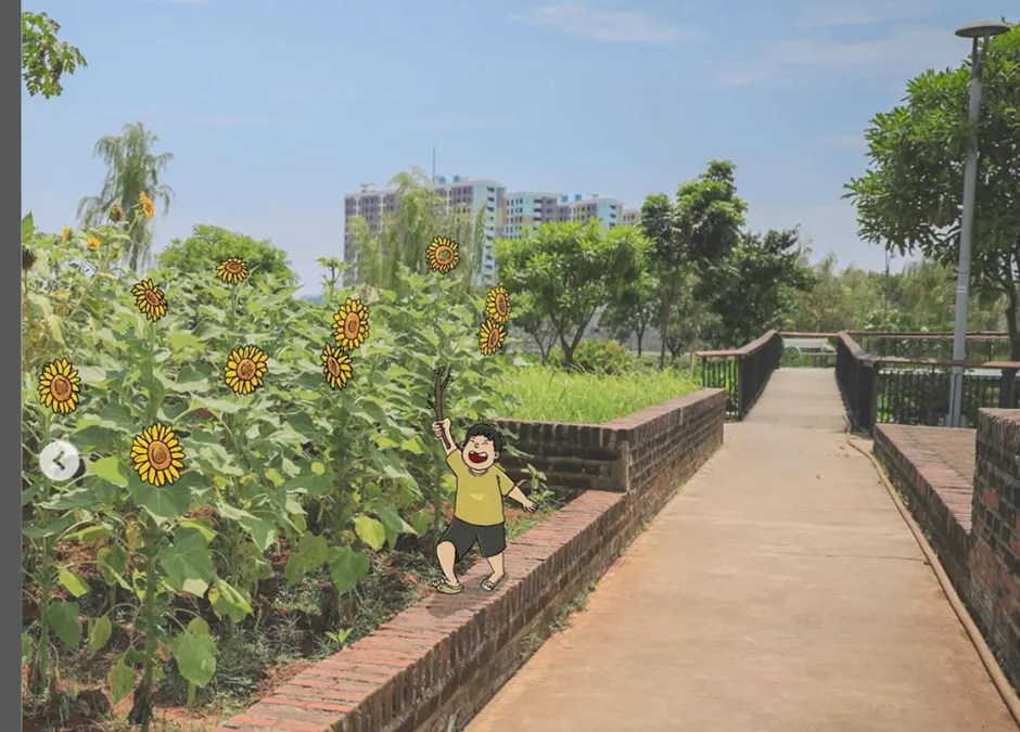 Bunga Matahari di Taman Rotanusa, Jakarta
