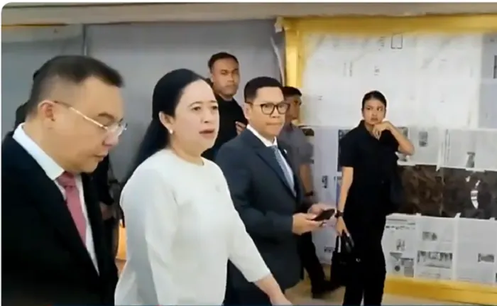 Puan Maharani dan Sufmi Dasco Ahmad baru-baru ini memberikan tanggapan kembali tentang pertemuan Prabowo Subianto dengan Megawati.
