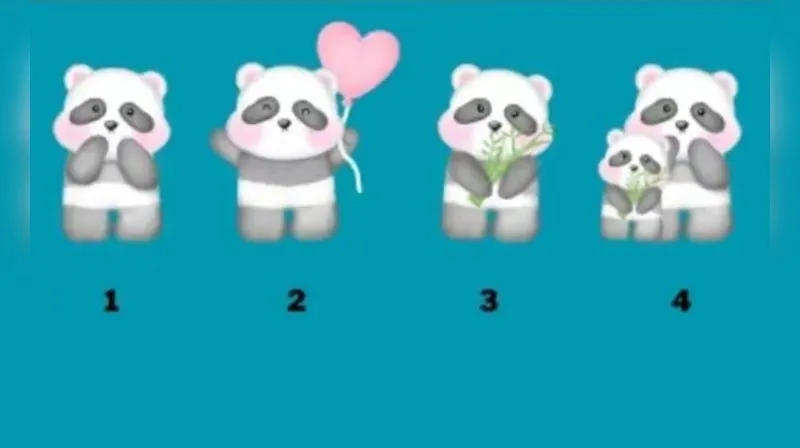 Tes Psikologi Kehidupan: Pilih Panda Mana yang Paling Kamu Suka dan Cari Tahu Apa Pendapat Orang Lain terhadap Kepribadianmu Selama Ini
