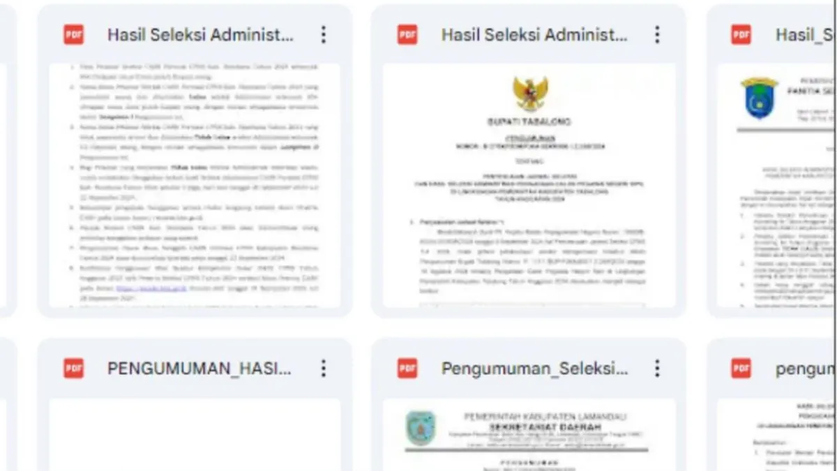 Perlu diketahui bahwa proses pengumuman hasil pasa masa sanggah seleksi administrasi CPNS 2024 ini dilakukan secara bertahap.