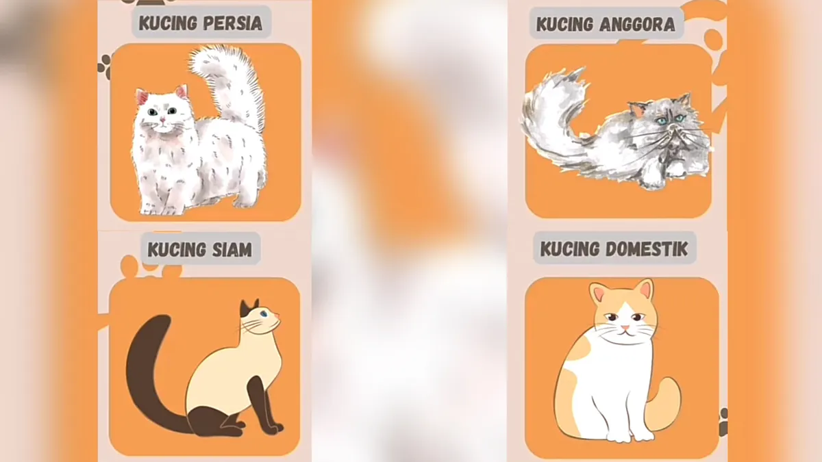 Tes kepribadian.