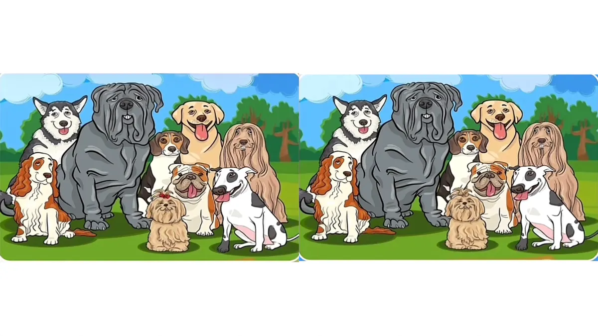 Tes IQ: Asah Observasimu! Coba Temukan 5 Perbedaan pada Gambar Kumpulan Anjing Lucu Ini, Yakin Berhasil?