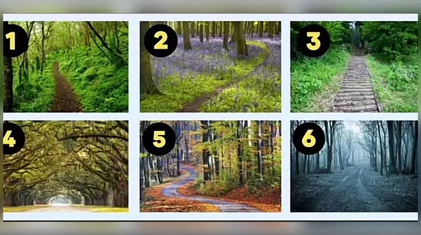 Tes seru yang bisa mengungkap karakter asli kamu ini bernama tes kepribadian, yang disajikan menggunakan metode gambar.