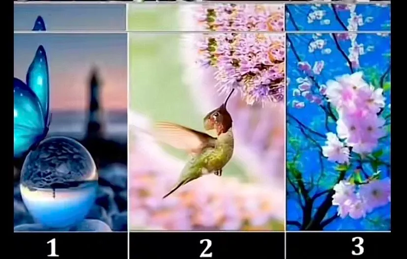 Illustrasi Tes Kepribadian