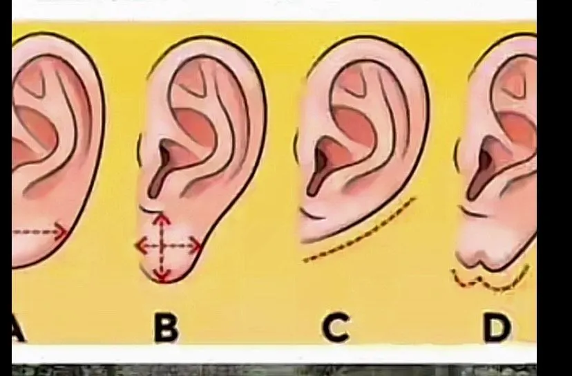 Ilustrasi Tes Kepribadian