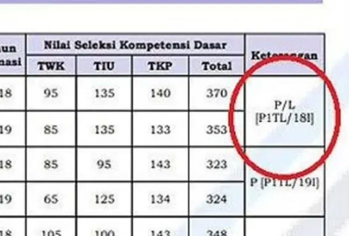 Peserta harus mengetahui arti kode kelulusan hasil dari SKD CPNS 2024 agar tidak merasa bingung dan keliru.