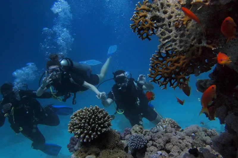 Cek tiga rekomendai destinasi wisata di Kepulauan Seribu, cocok buat kamu yang hobi bermain air, seperti snorkeling hingga diving.