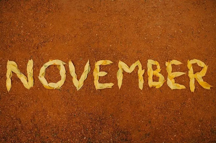 Kepribadian kelahiran bulan November