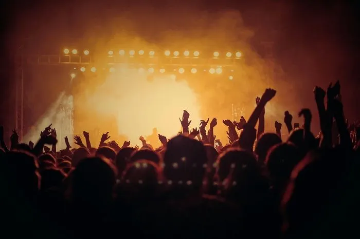 Ide bisnis yang cocok bagi kamu pecinta konser musik