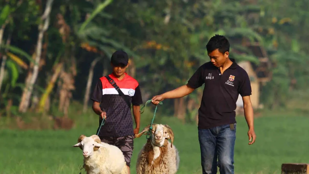 Tidak hanya identik dengan ibadah kurban dan ibadah haji saja, namun ada banyak makna yang bisa dipetik oleh umat Islam yang merayakannya.