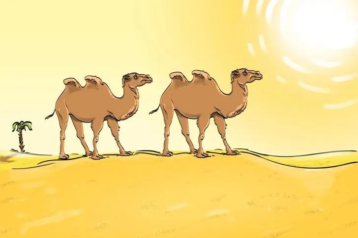 Tes IQ: Ada yang Salah dengan Gambar 2 Unta Ini Loh, Orang ber-IQ Tinggi Bisa Temukan dalam 4 Detik Saja!