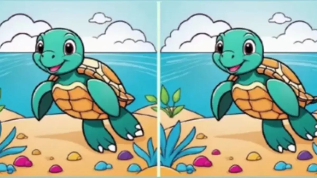 Tes ketelitian dalam waktu 9 detik dengan menemukan 3 perbedaan pada gambar