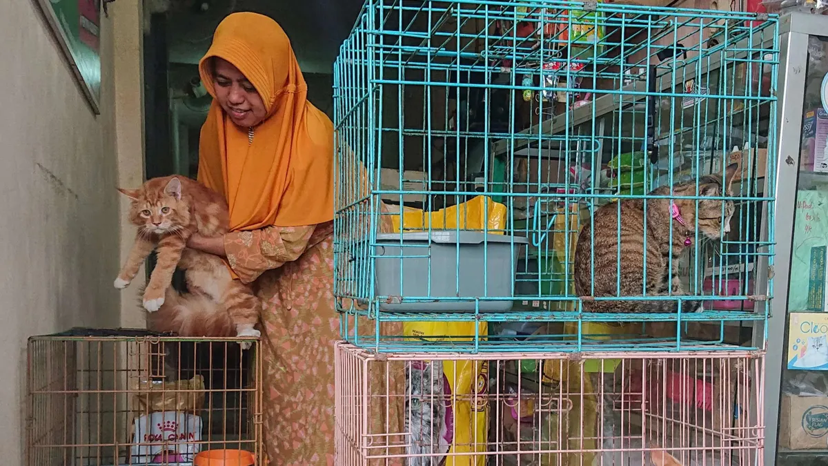 Ide bisnis modal kecil