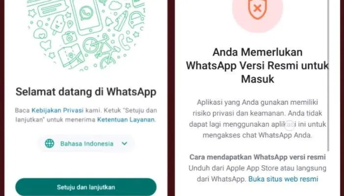 Gagal Login? Inilah 5 Cara Mengatasi WA Muncul ‘Anda Memerlukan WhatsApp Resmi untuk Menggunakan Akun Ini’