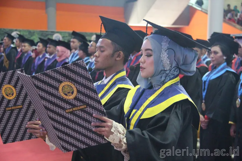Ada beberapa jurusan S1 yang masuk dalam daftar rata-rata IPK Lulusan tertinggi selama tiga tahun terakhir di UM.