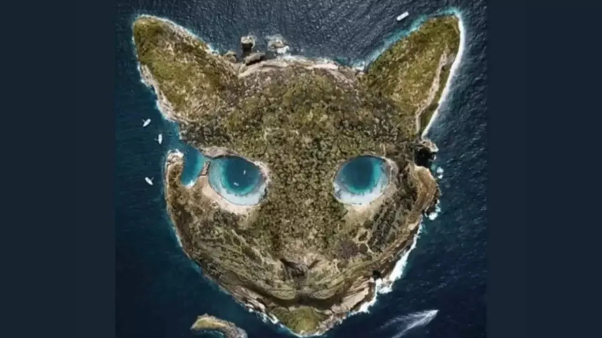 Tes Kepribadian: Lihat Pulau atau Kepala Kucing? Cari Tahu Lebih Dalam Tentang Dirimu, Sensitif atau Dewasa? (Times Now)