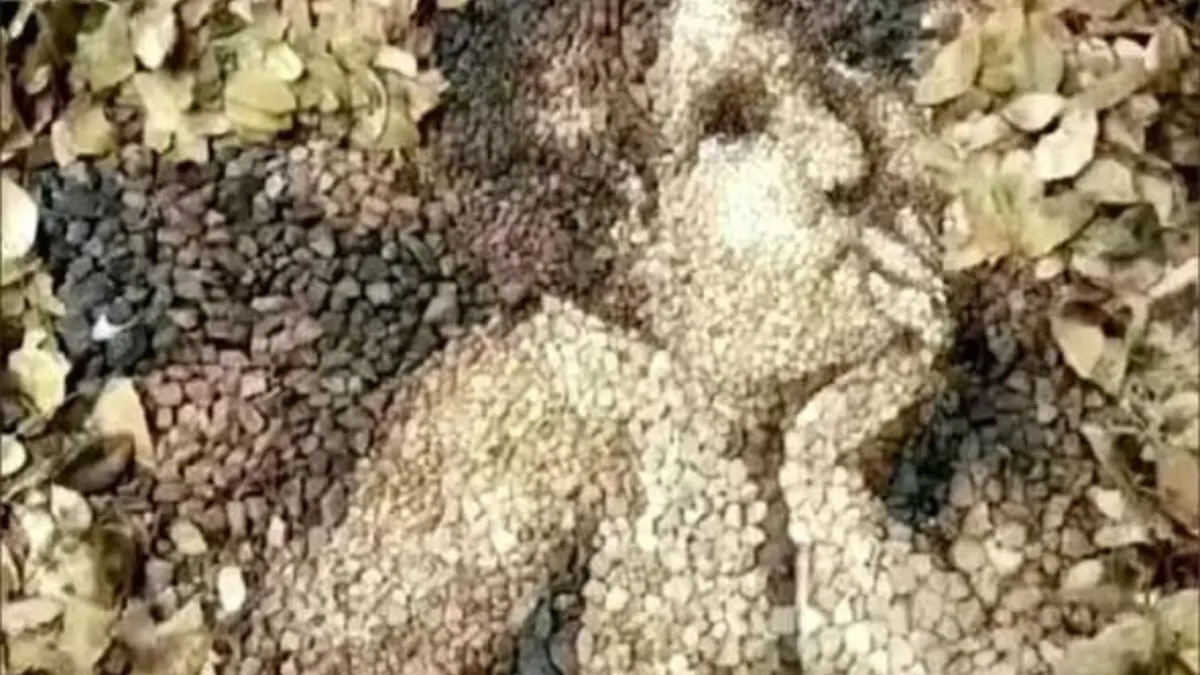 Gambar yang Pertama Kali Kamu Lihat pada Ilusi Optik Ini Mengungkap Nasib Kehidupanmu